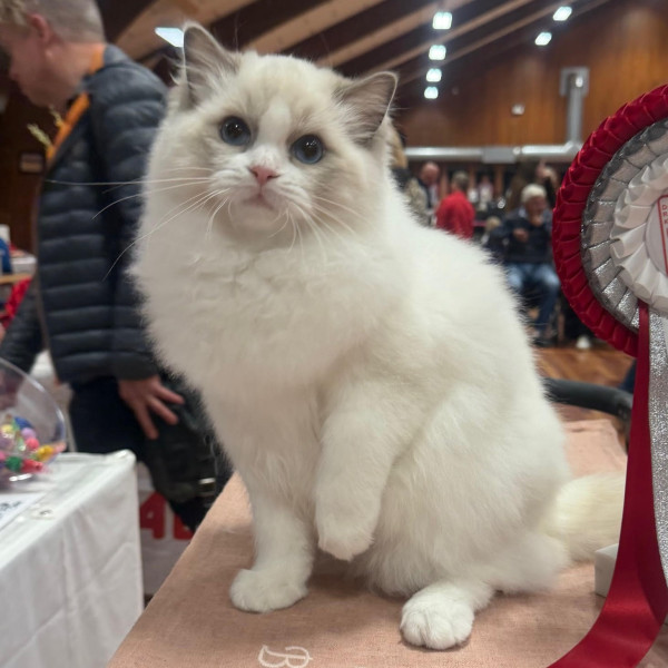 616203217 1212756337611503 4273854075173438479 n