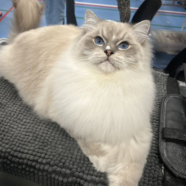 616322829 1212748760945594 2200812741830154442 n