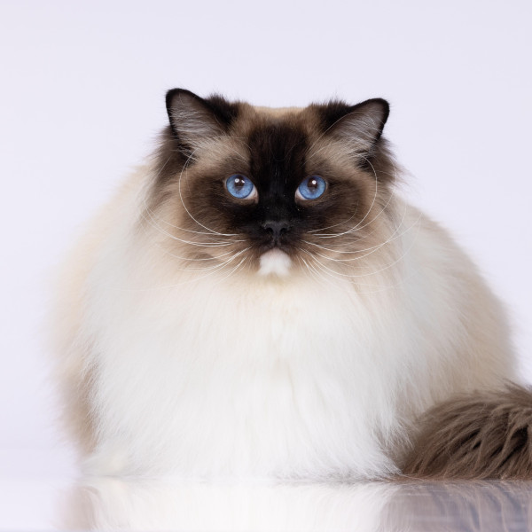 616571123 1212748874278916 4002852136357937772 n