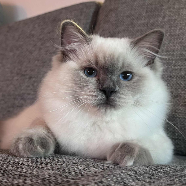 616577535 1212756744278129 7237861046804493067 n