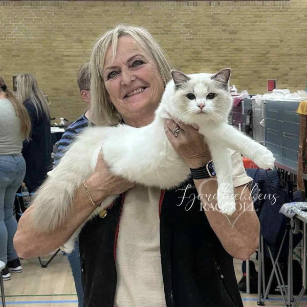 616847417 1212756597611477 8502240621162861015 n