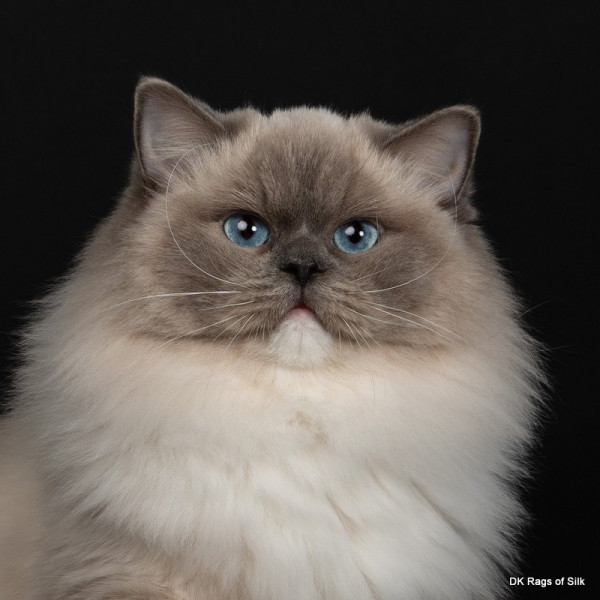 616850834 1212745510945919 1721583304624707116 n