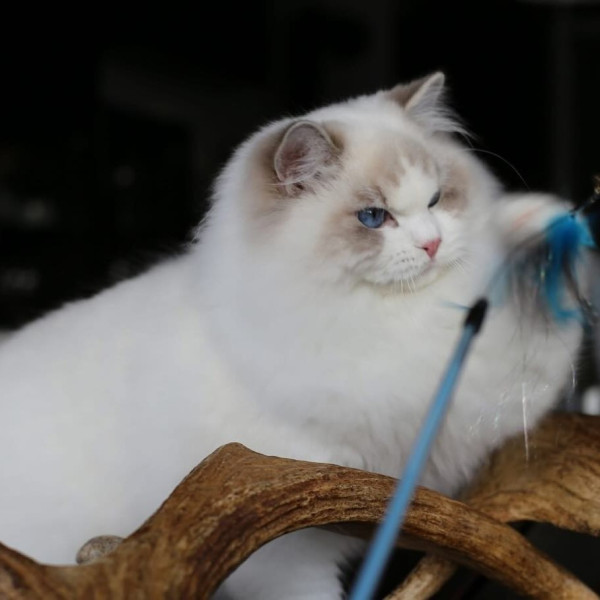 617088567 1212753534278450 5646786424170034910 n