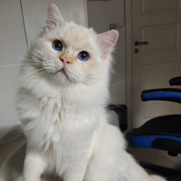 617364838 1212753720945098 4280324789363314829 n