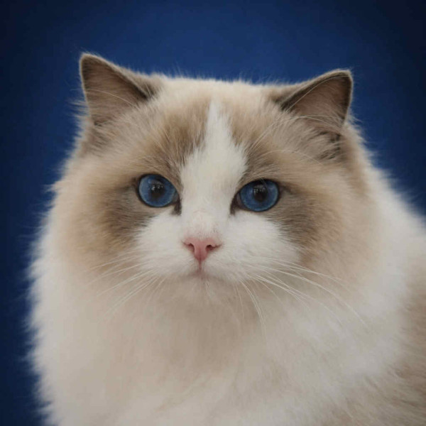 617852726 1212755990944871 558907757632095587 n