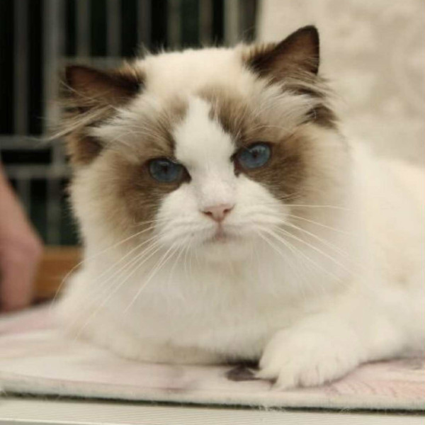 617993269 1212753424278461 3891951486399401286 n