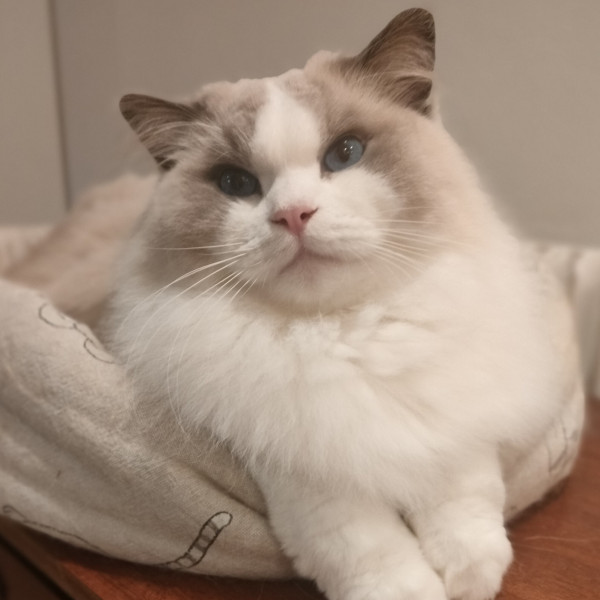 619380922 1212748577612279 5857773293973685954 n