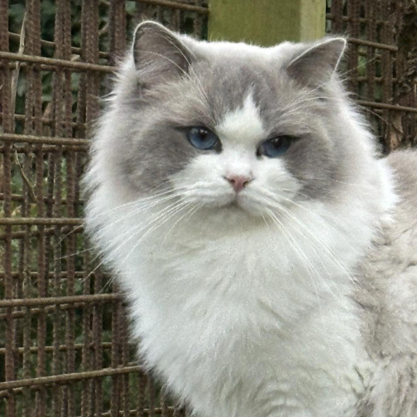 621182413 1212735580946912 7579537874690367578 n